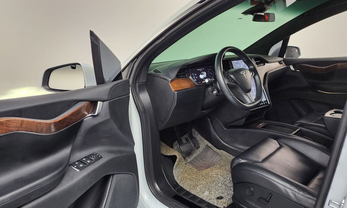 Tesla Model X 2019