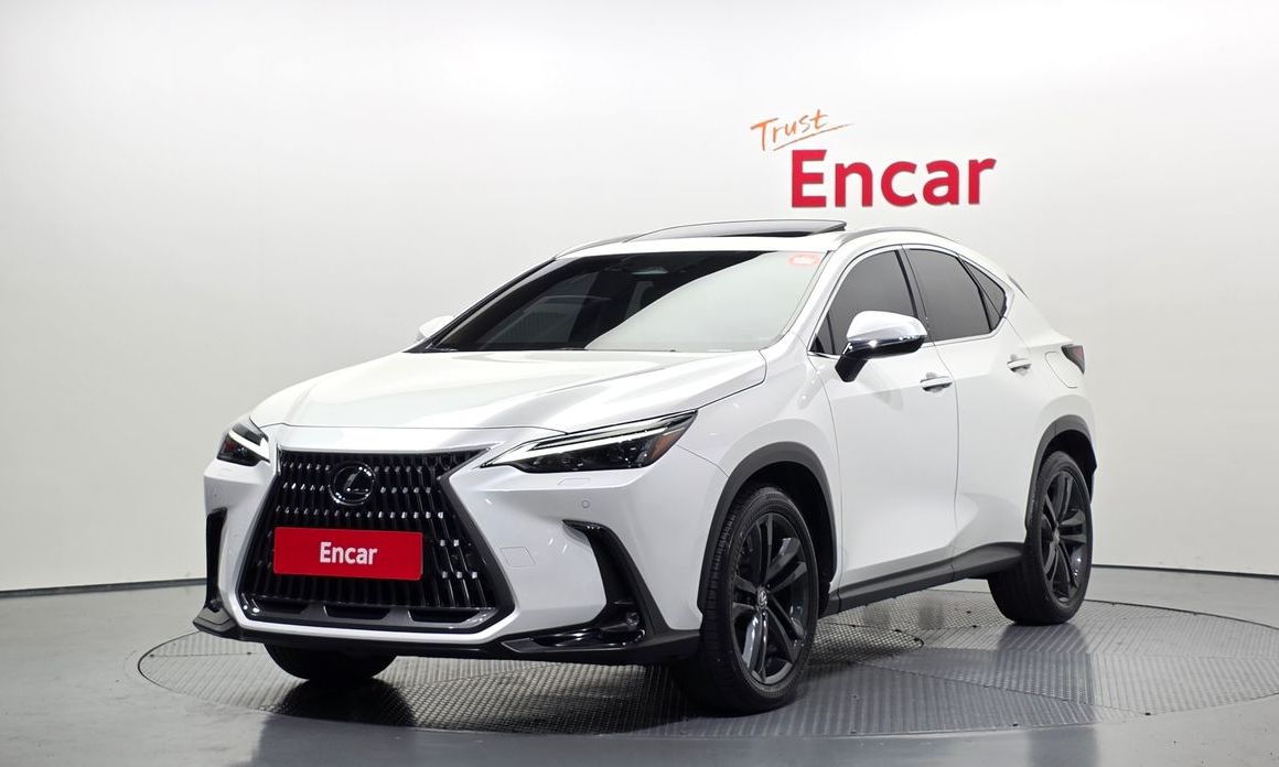 Lexus NX 2024