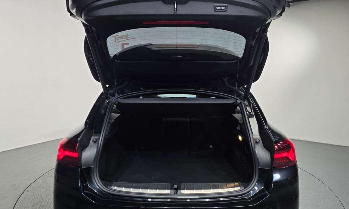 BMW X2 (F39) 2023