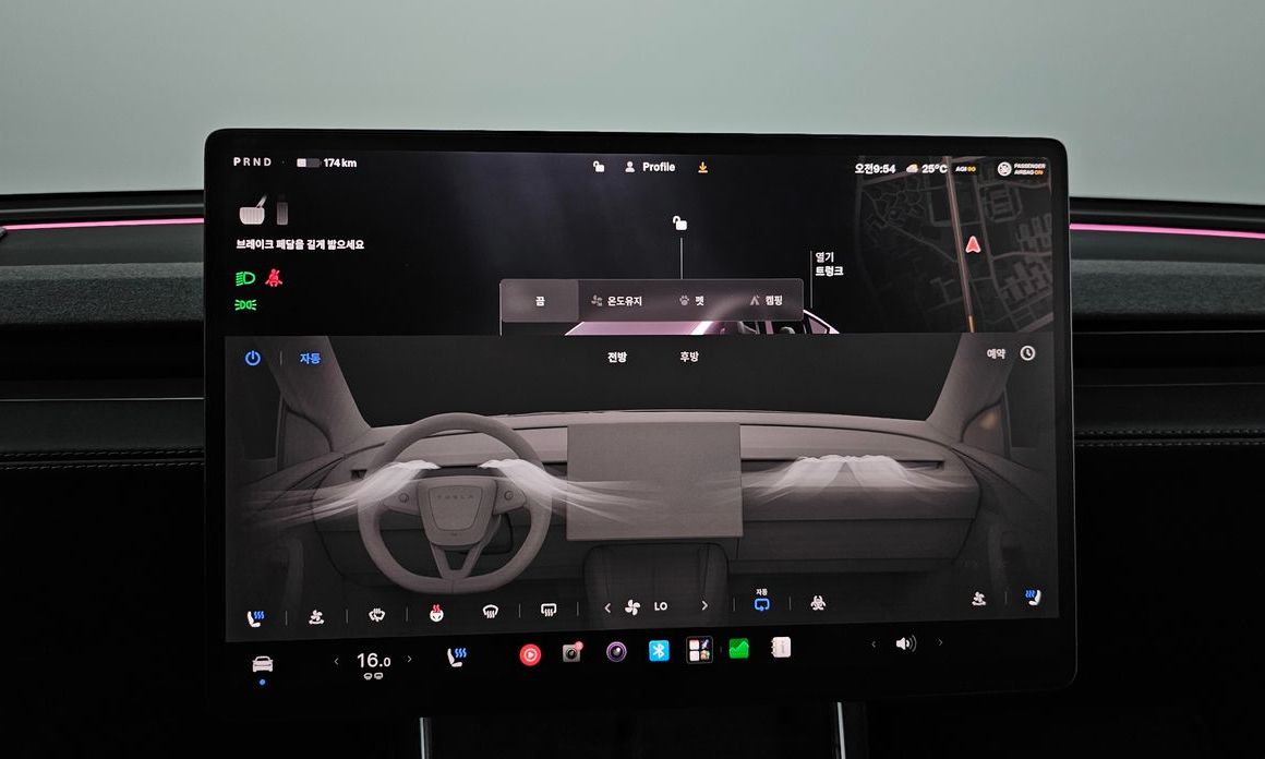 Tesla Model Y 2025