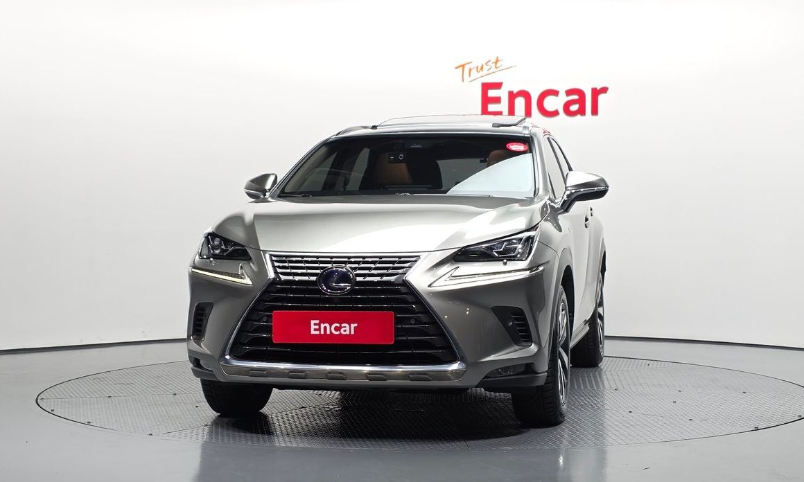Lexus NX 2019