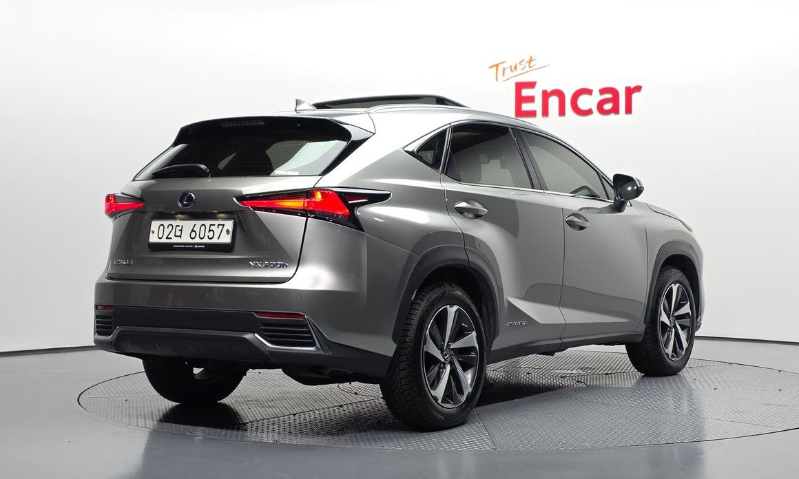 Lexus NX 2019