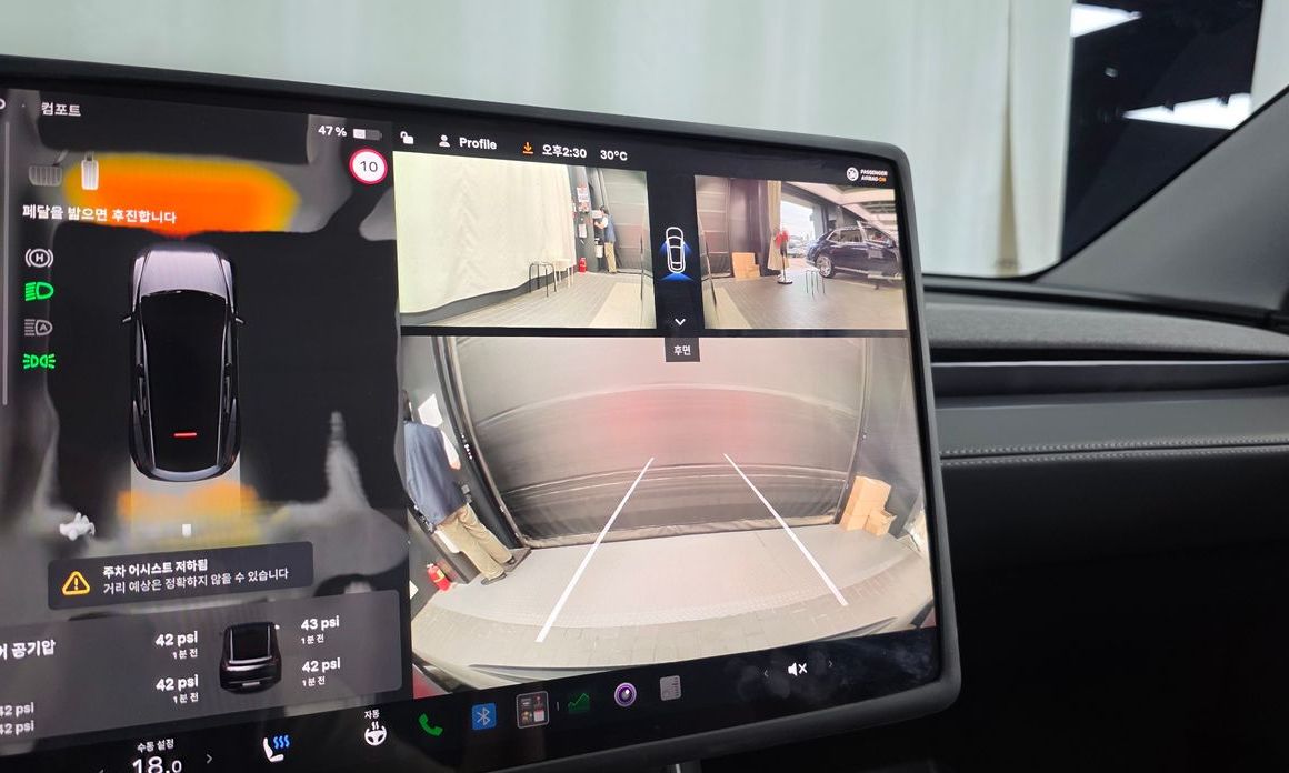 Tesla Model Y 2025