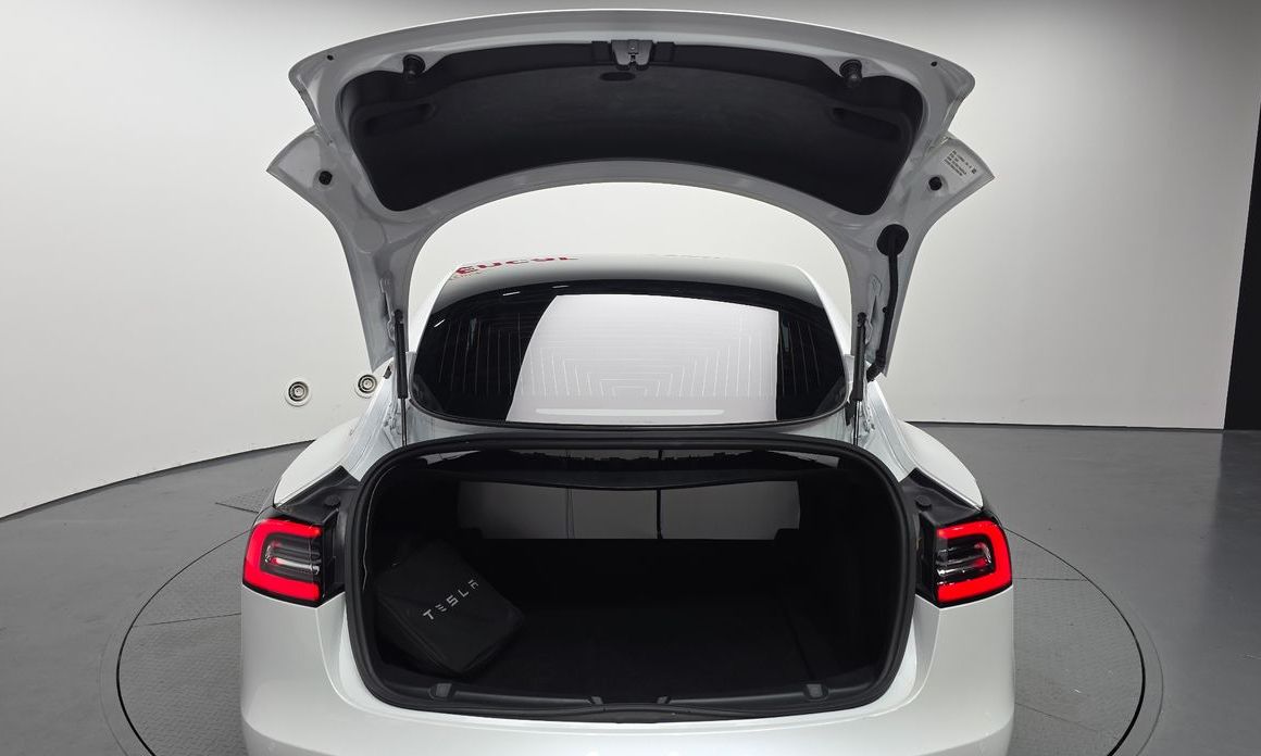Tesla Model 3 2020
