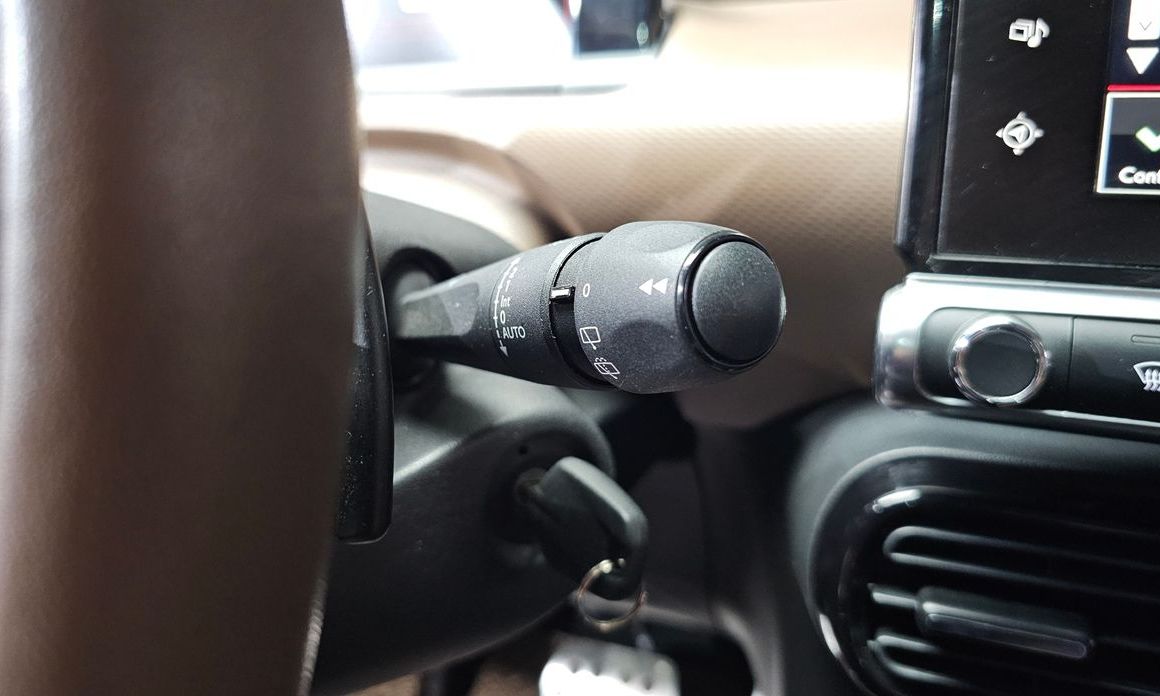 Citroen-DS C4 CACTUS 2017