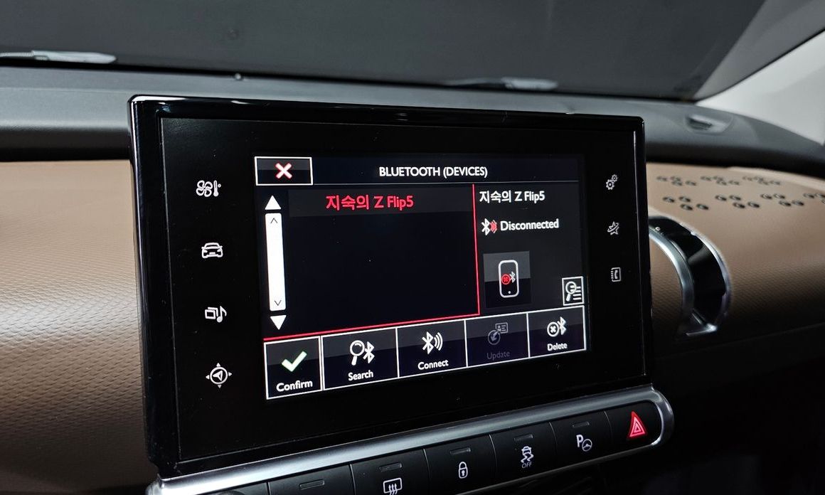 Citroen-DS C4 CACTUS 2017
