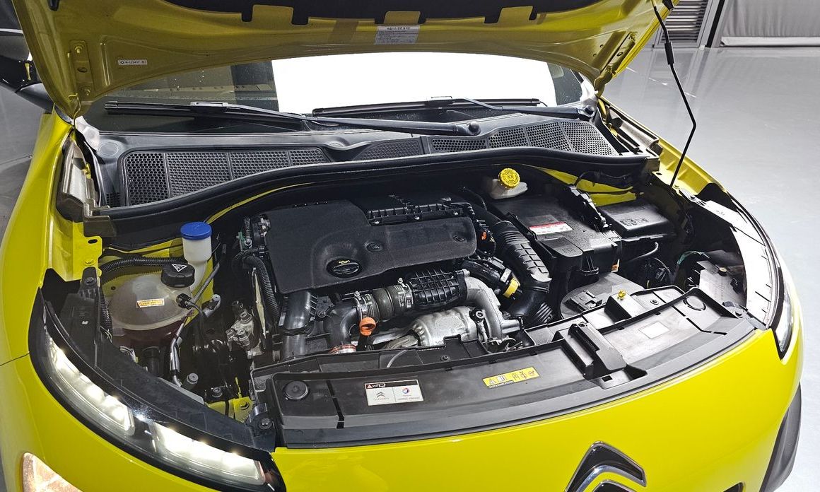 Citroen-DS C4 CACTUS 2017