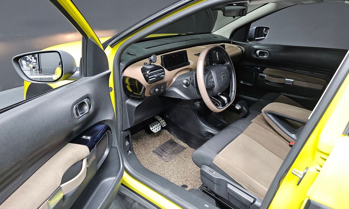 Citroen-DS C4 CACTUS 2017