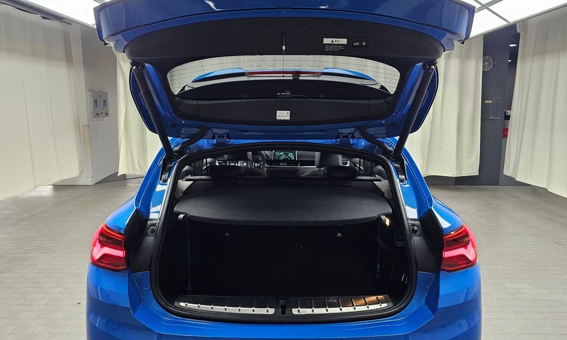 BMW X2 (F39) 2019
