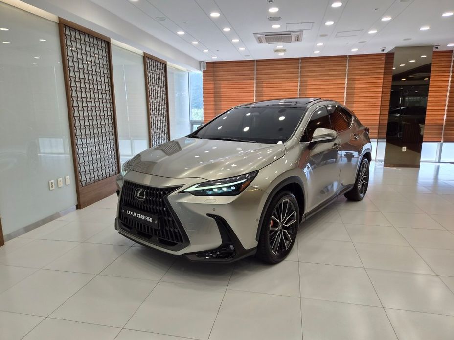 Lexus NX 2024