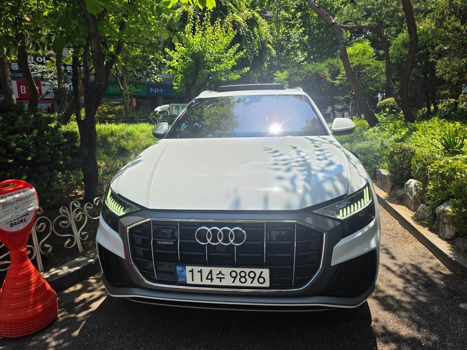 Audi Q8 2021