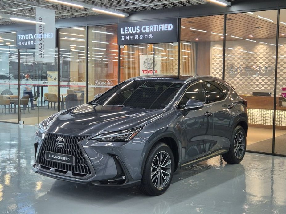 Lexus NX 2025