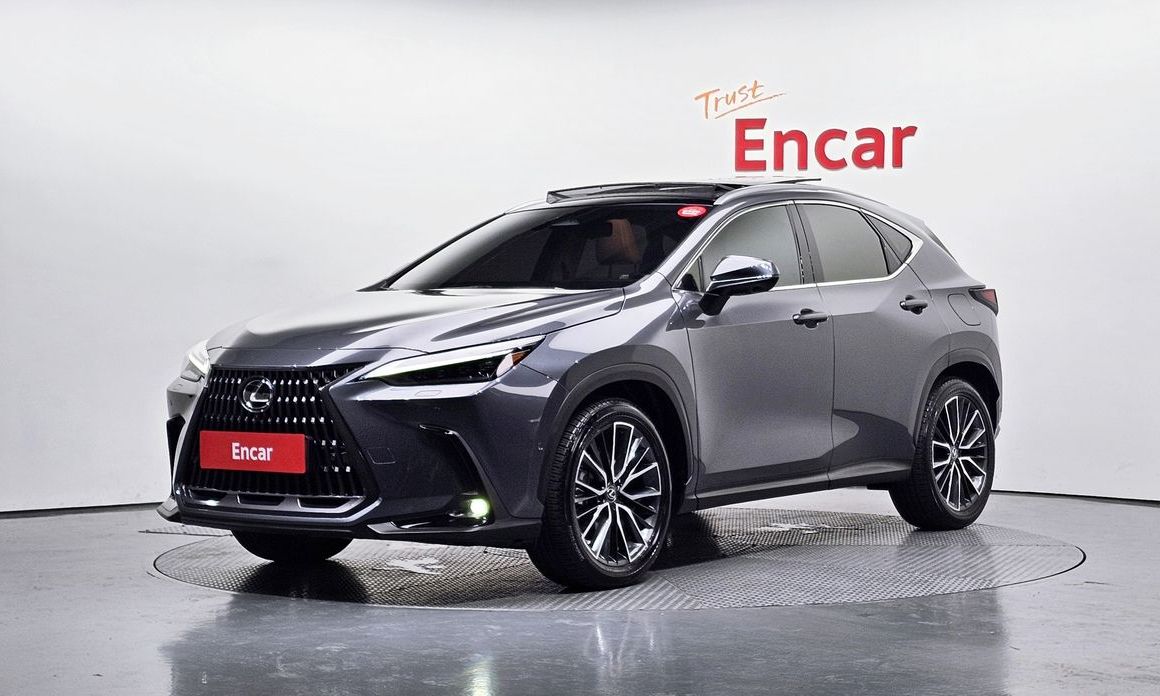 Lexus NX 2024