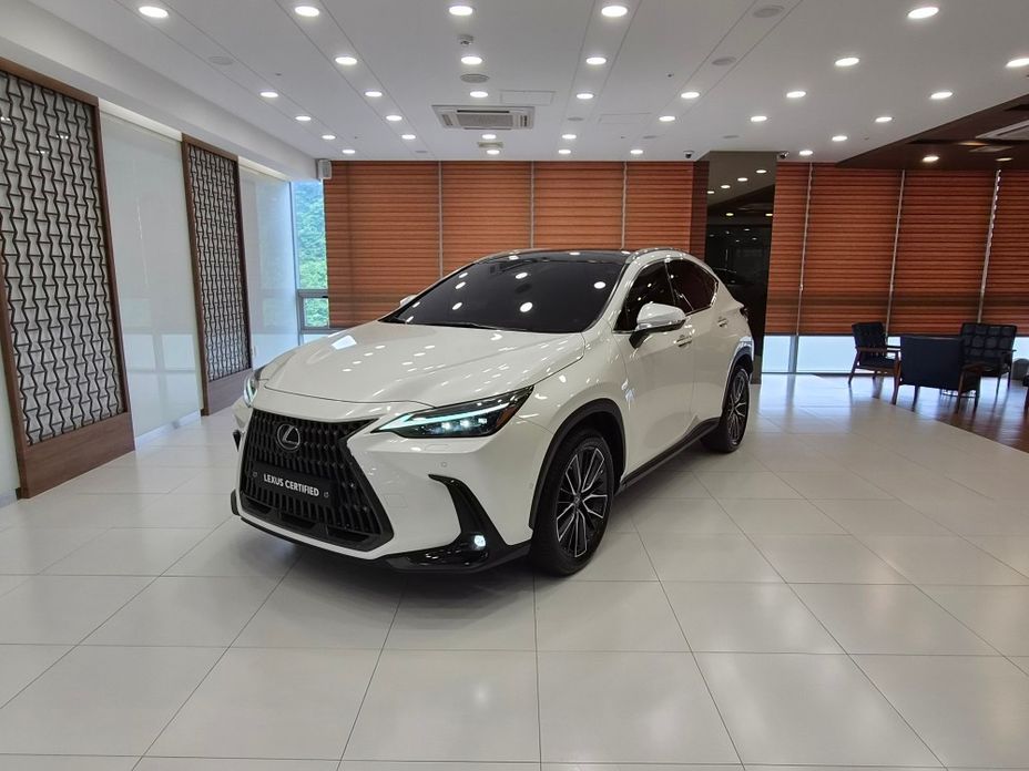 Lexus NX 2022