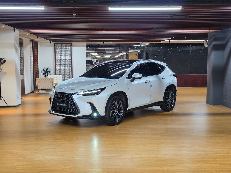 Lexus NX 2025