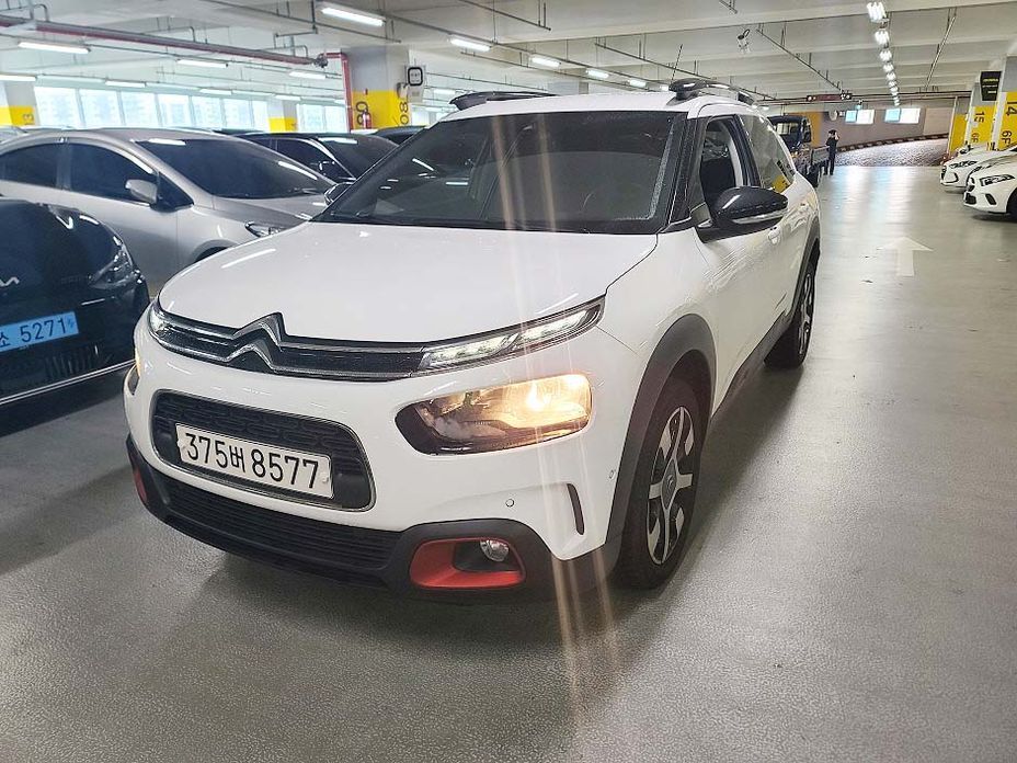 Citroen-DS C4 CACTUS 2020