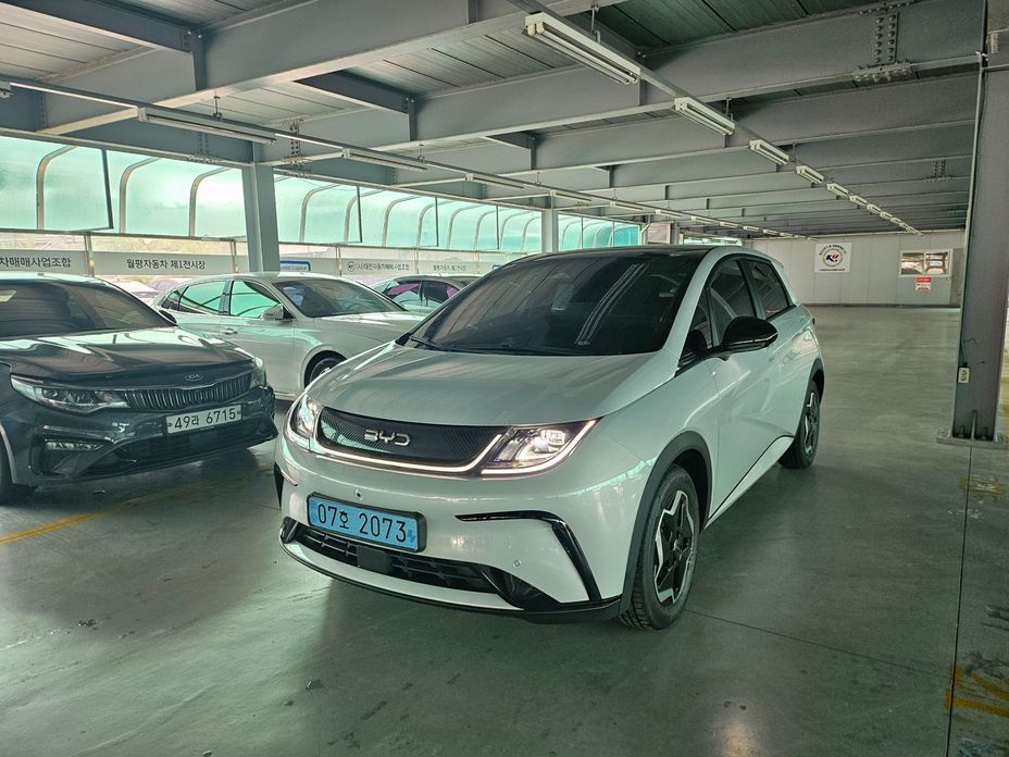 BYD Dolphin 2026