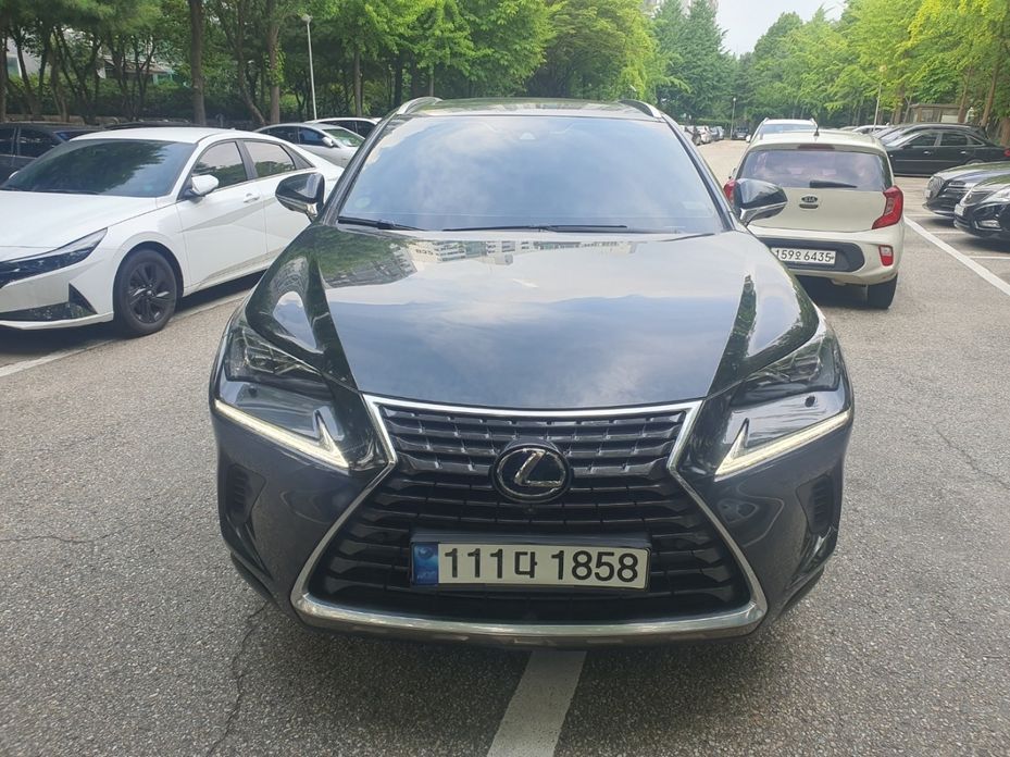 Lexus NX 2021