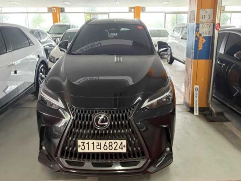 Lexus NX 2024