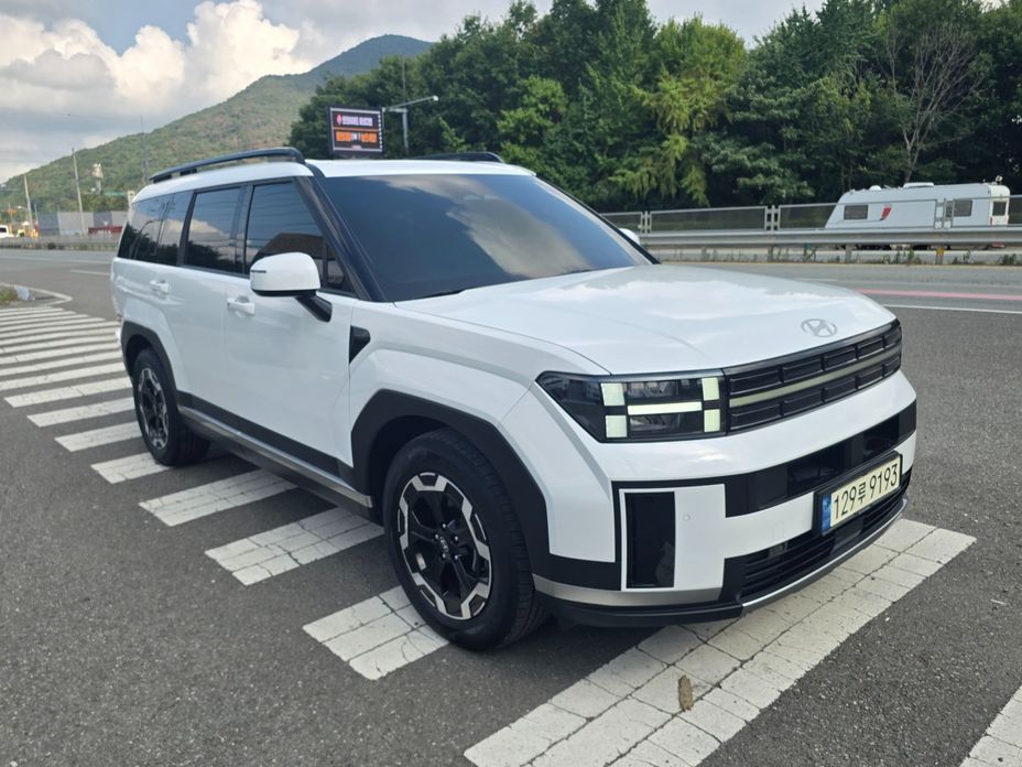Hyundai Santafe 2024