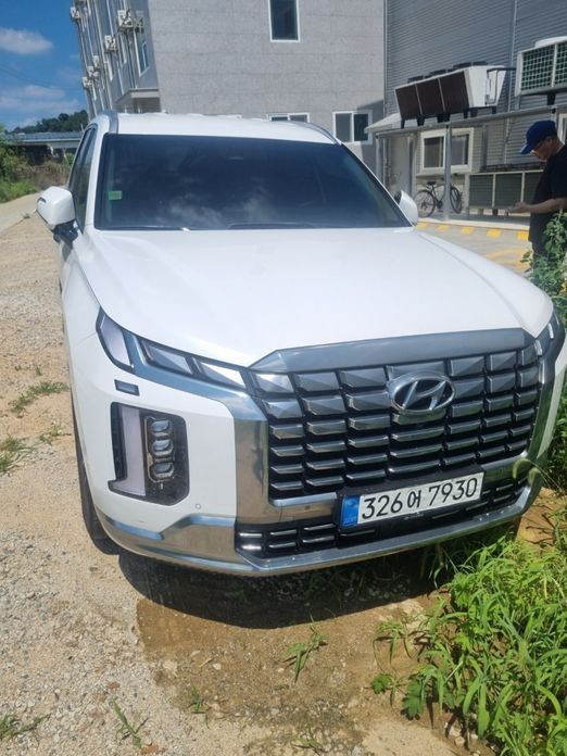 Hyundai Palisade 2024