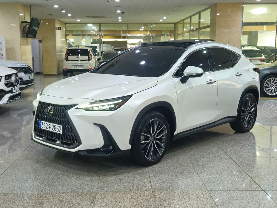 Lexus NX 2024