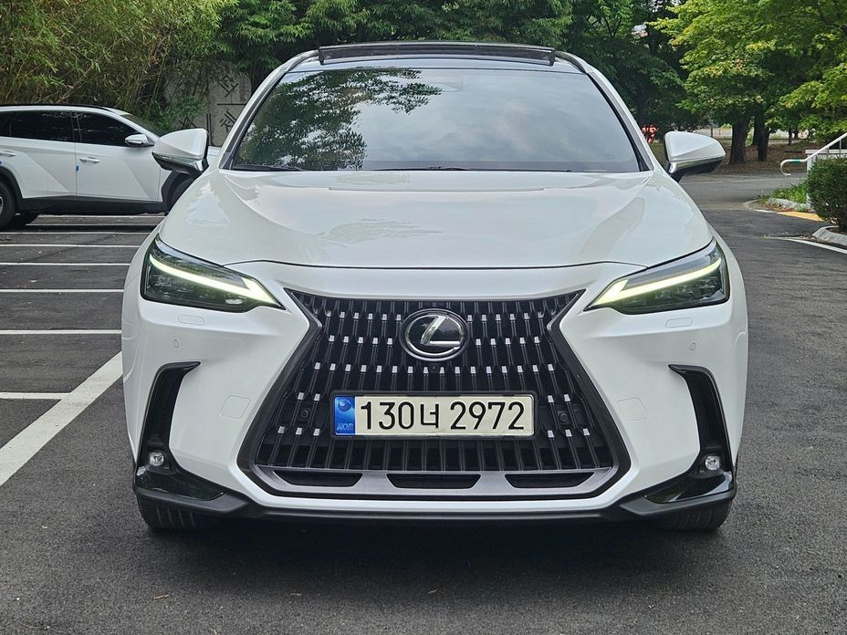 Lexus NX 2024