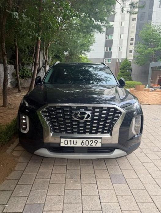 Hyundai Palisade 2019