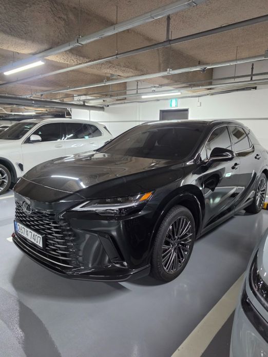 Lexus RX 2025
