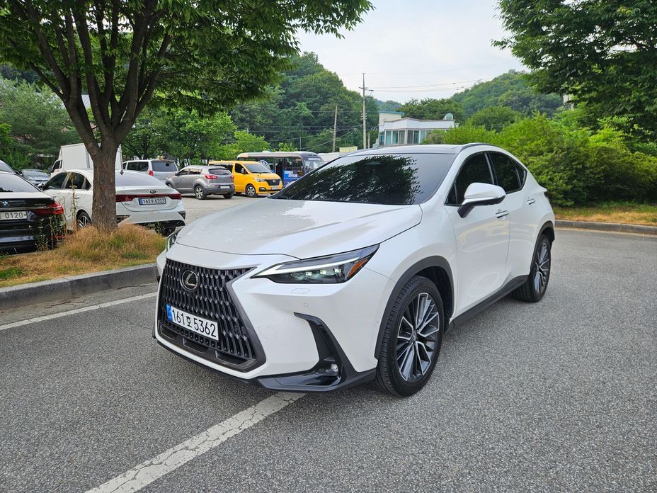 Lexus NX 2024
