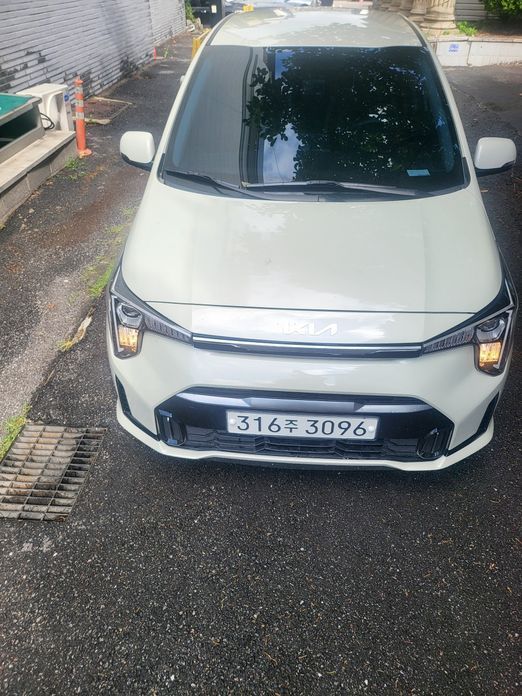 Kia morning 2024