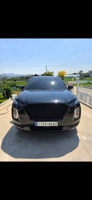 Hyundai Palisade 2021