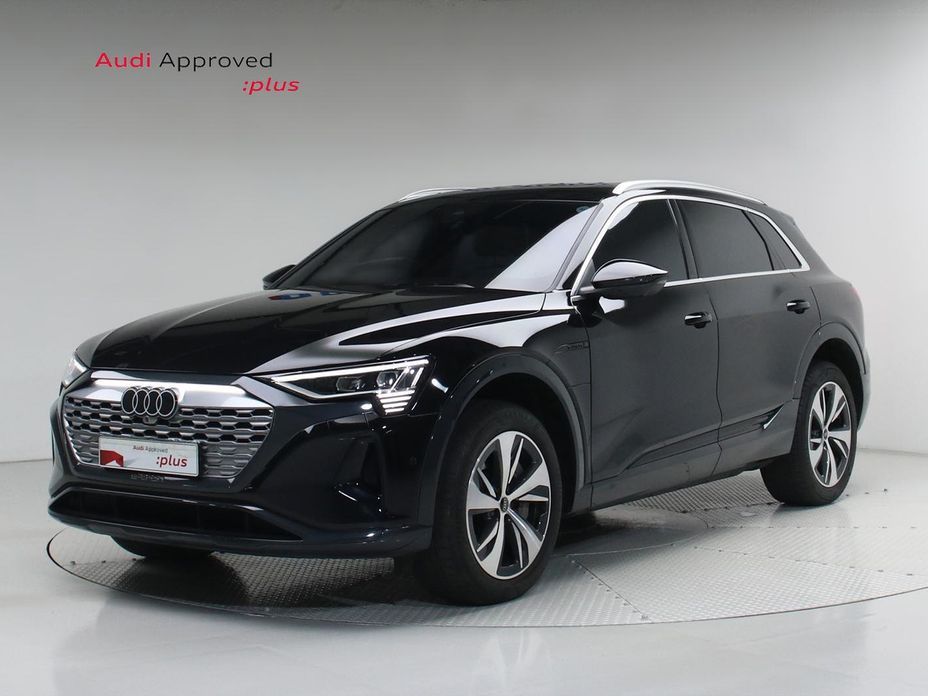 Audi Q8 e-tron 2024
