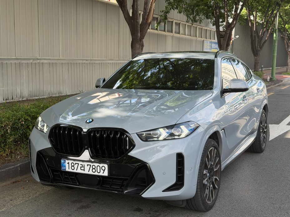 BMW X6 2024