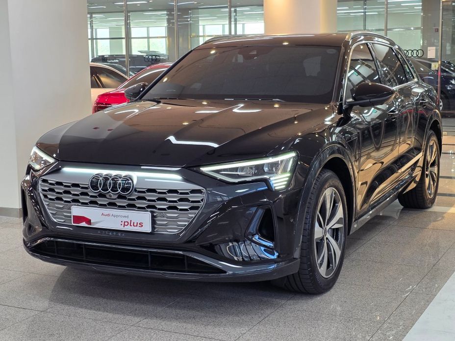 Audi Q8 e-tron 2024