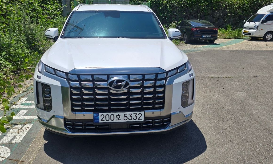 Hyundai Palisade 2024