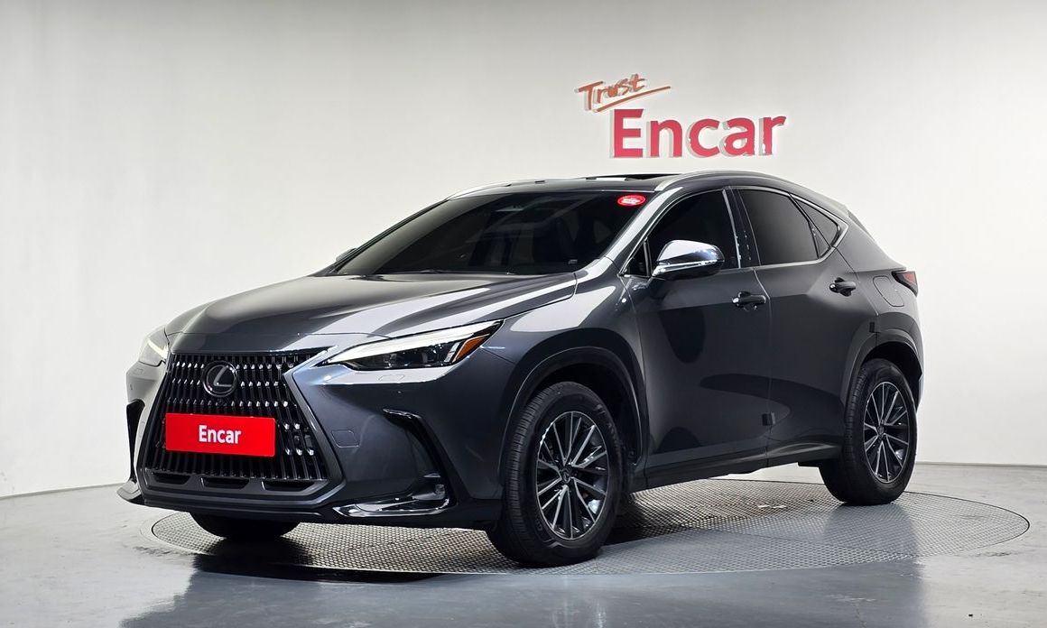 Lexus NX 2024