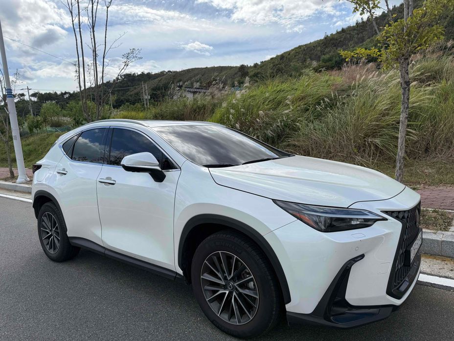Lexus NX 2025