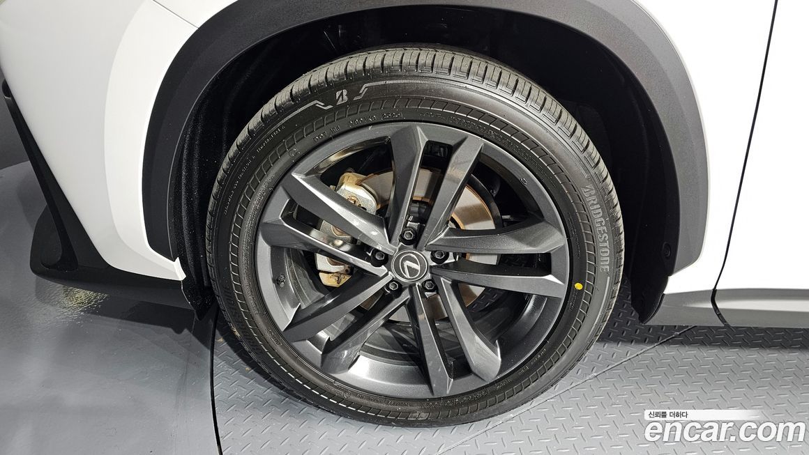 Lexus NX 2024