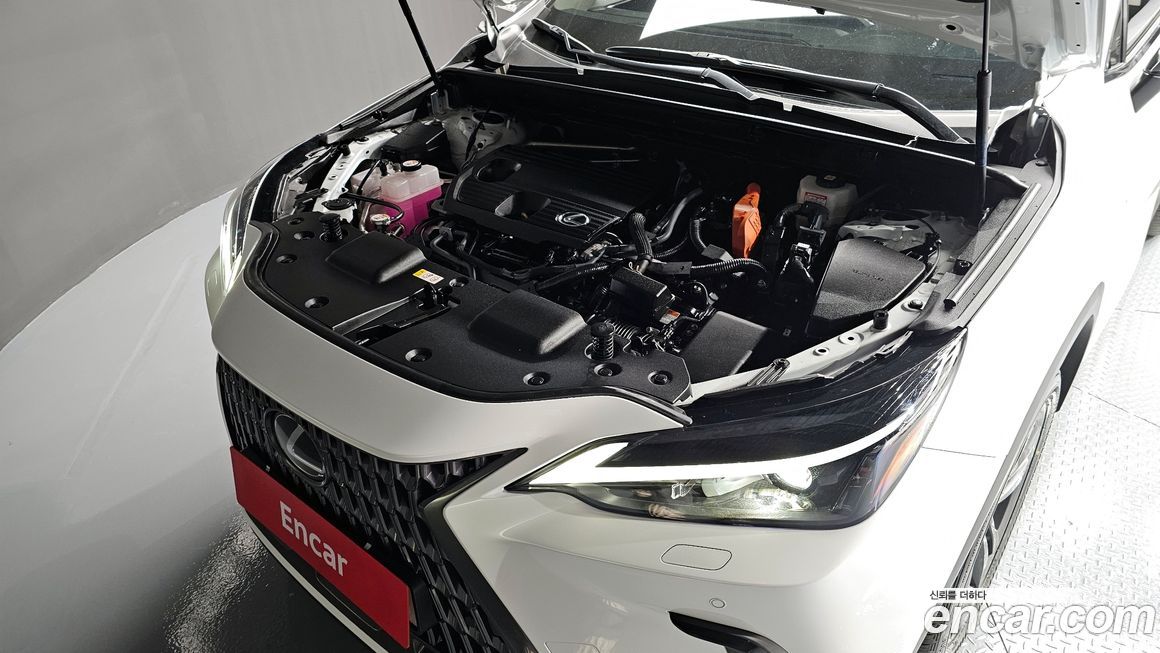 Lexus NX 2024