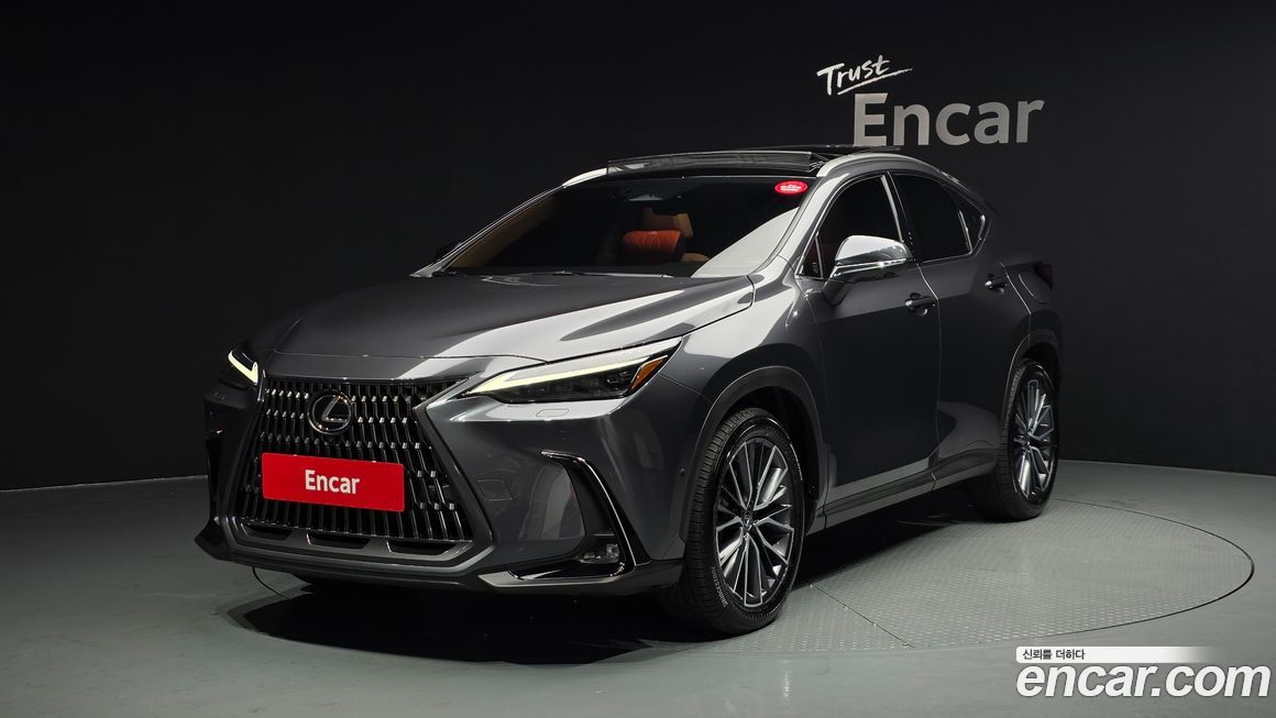 Lexus NX 2025