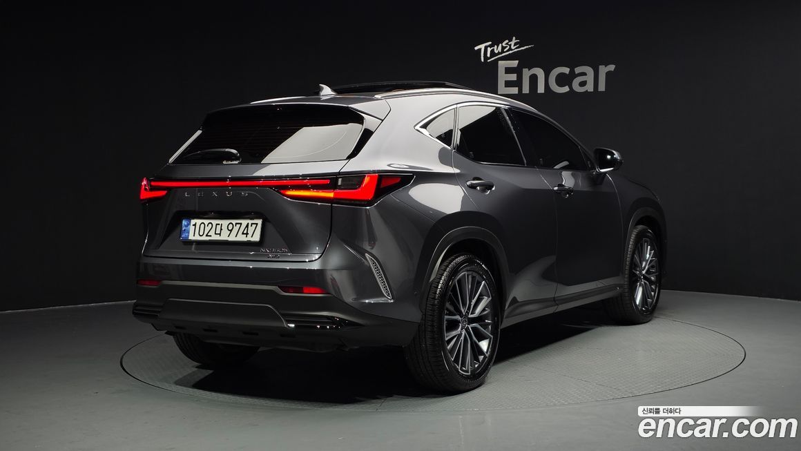 Lexus NX 2025
