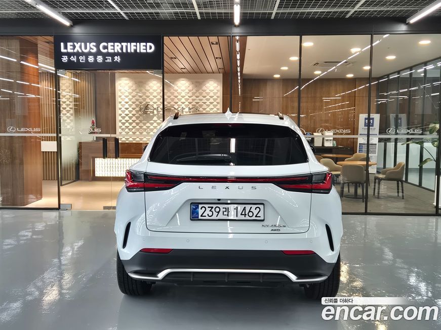 Lexus NX 2025