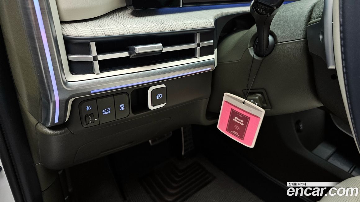 Hyundai Santafe 2025