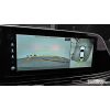 31876