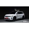 273029