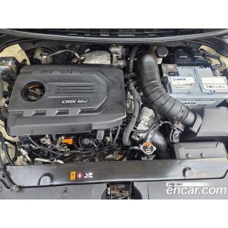 427373