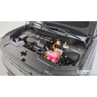 750804