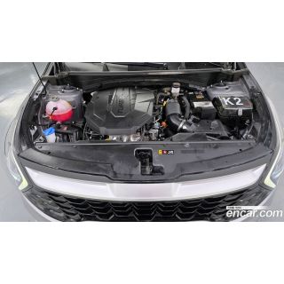 282664