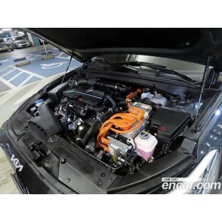 29244